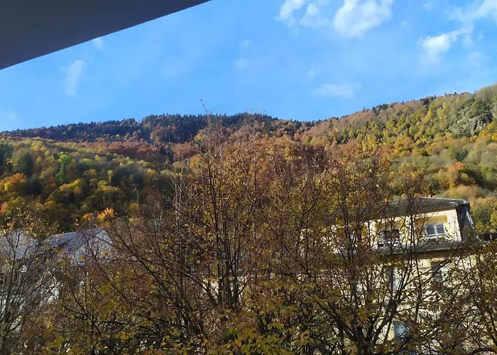 Location Appartement T1 Hyper Centre 350 M Des Thermes 200 M Des Telecabines Deuxieme Etage Avec Ascenseur