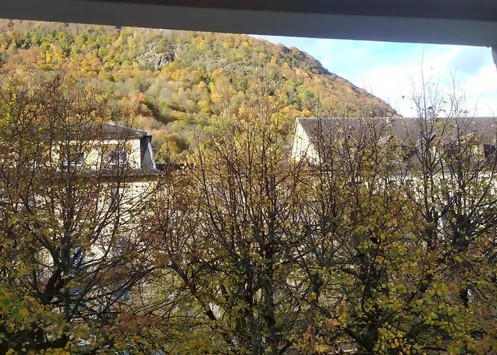 Location Appartement T1 Hyper Centre 350 M Des Thermes 200 M Des Telecabines Deuxieme Etage Avec Ascenseur