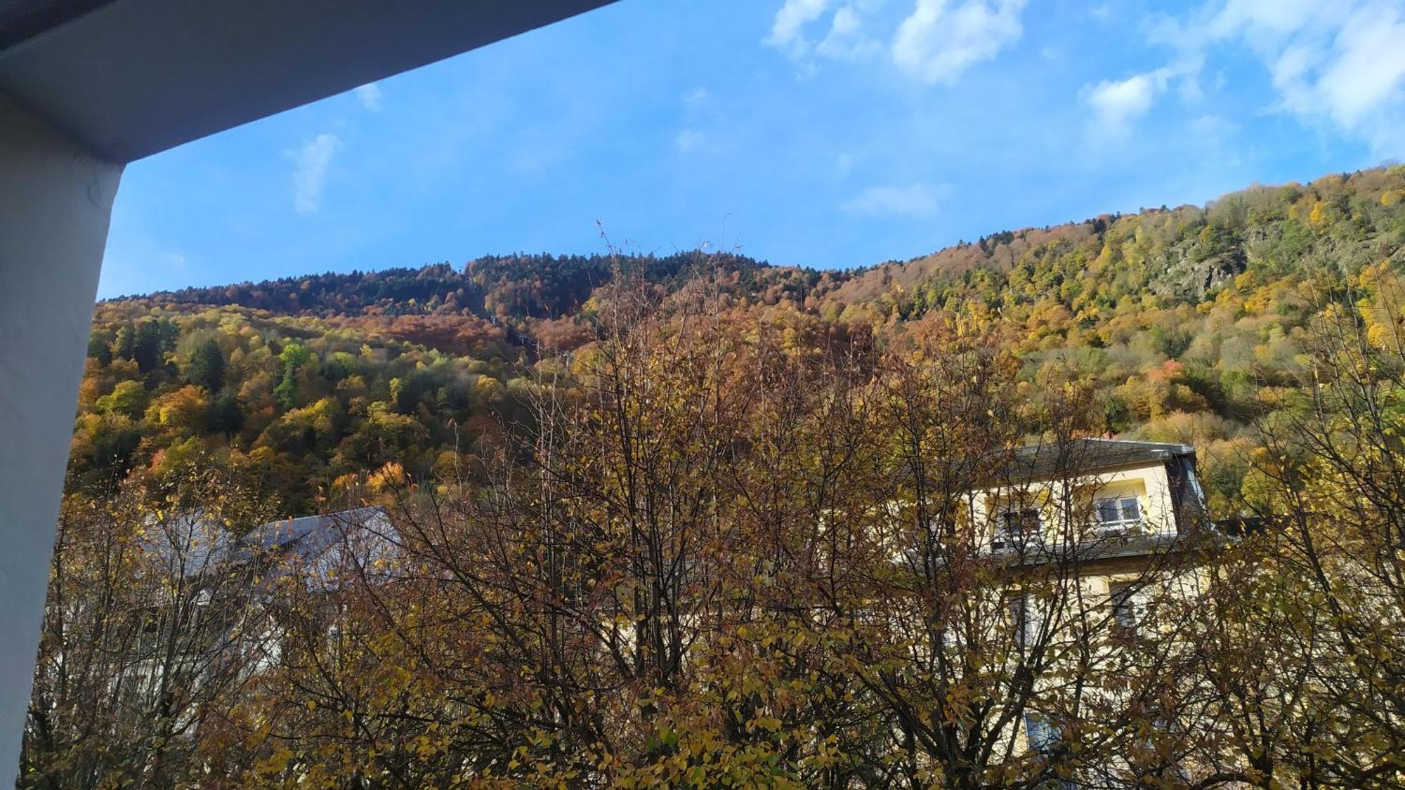 Location T1 Hyper Centre 350 M Des Thermes 200 M Des Telecabines Deuxieme Etage Avec Ascenseur Appartement